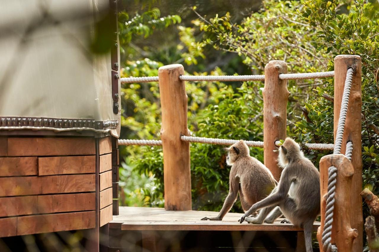 Wild Coast Tented Lodge Yala Exterior photo